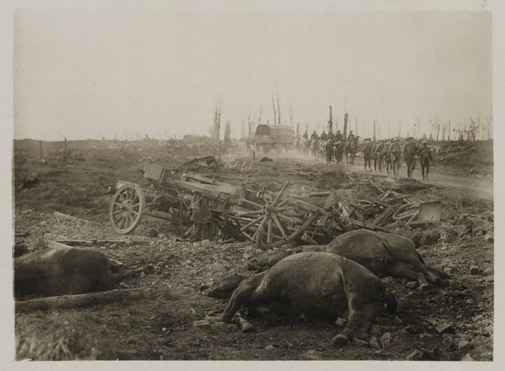 Troops march down Menin Road. To the side are dead horses and a destroyed cart. Ypres sector, Belgium.